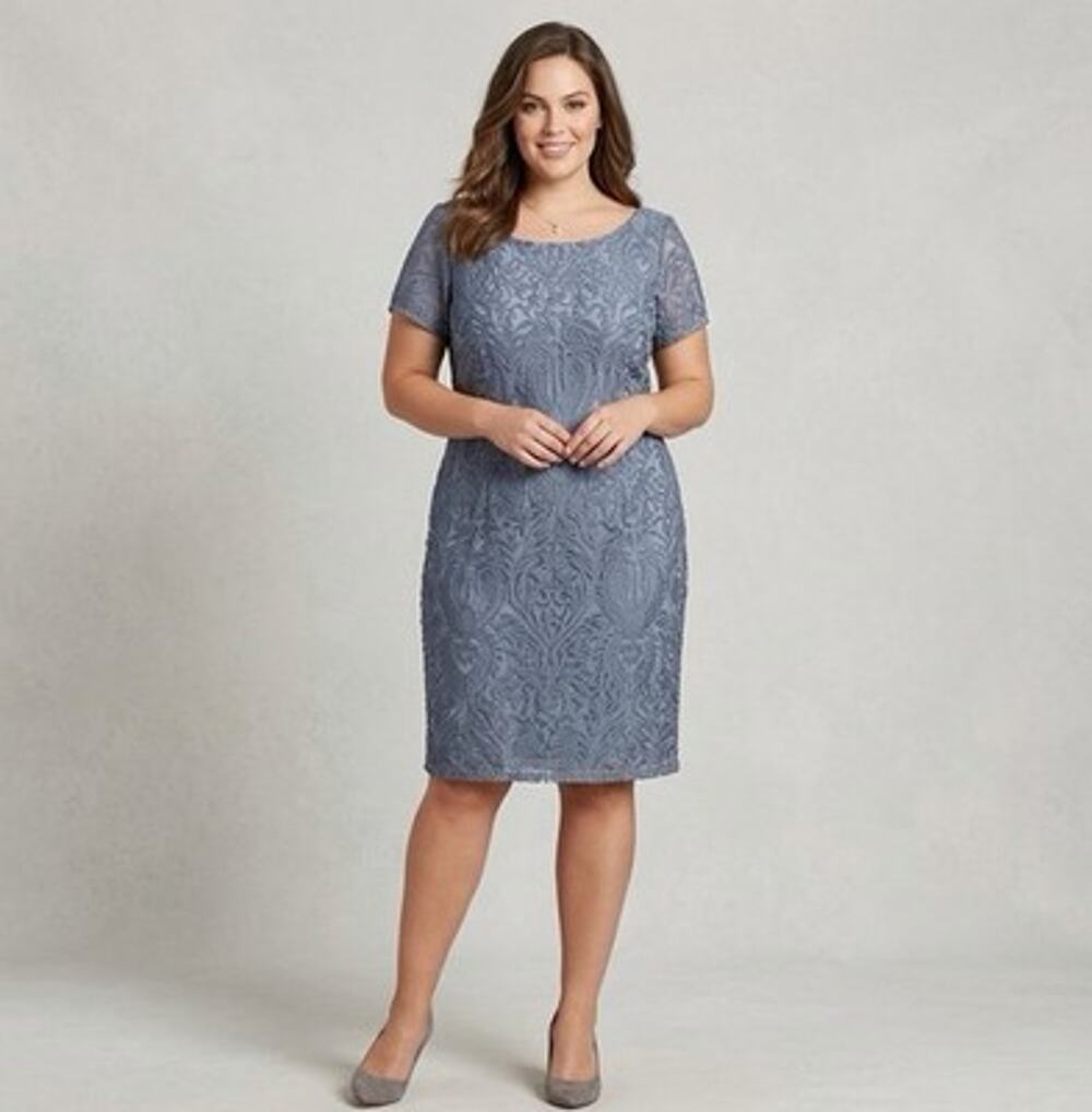 JS Collections Women's Embroidered Dress Size 18 French Blue Short Sleeve